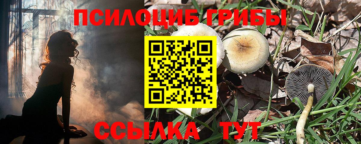 Ленинск-Кузнецкий  закладка  Вход с VPN  Галлюциногенные грибы MAGIC MUSHROOMS 